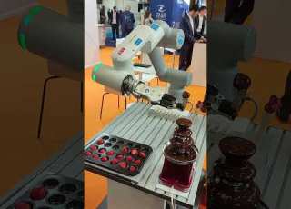  ABB GoFa Dipping Strawberries In Chocolate Fountain Cobot Fondue Shorts