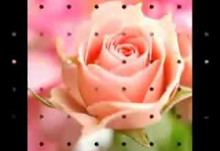 حبيبنا من سكن طيبه أستمع ومتع ألروح