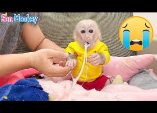 Son Monkey Was Very Sick And Vomited A Lot Poor Baby Monkey Son Monkey
