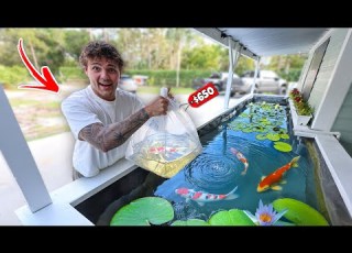 Buying KOI FISH For My NEW POND
