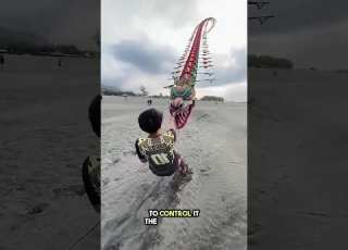  It Is Impossible To Fly This Kite
