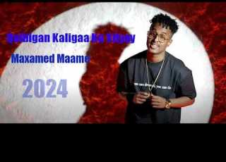  Maxamed Maame Qalbigan Kaligaa Ku Siiyay Official Music Video 2024