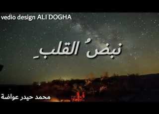 محمد حيدر عواضة نبض القلب