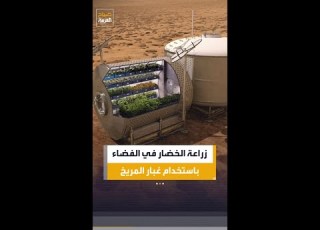 A Revolutionary Innovation For Growing Vegetables In Space Using Martian Dust And Cyanobacteria O