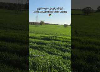 قرية ابسر ابو علي لواء الطيبة اربد الاردن 2026 Jordan Irbid اربد