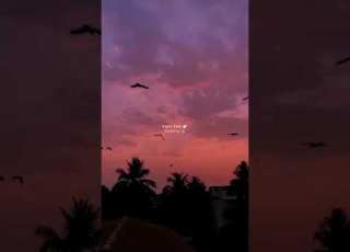  Chale Aana Slowed Reverb De De Pyaar De Ajay Devgn Tabu Rakul Preet LOFI JUKEBOX