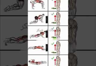 علاج قعس أسفل الظهر في البيت