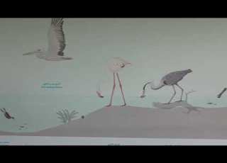 جولة في محمية واسط للاراضي الرطبة في الشارقة A Trip To Wasit Wetland Centre
