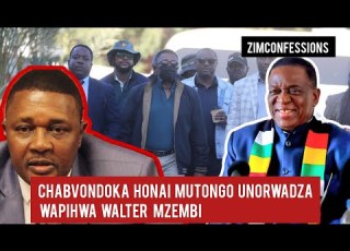 Chabvondoka Honai Mutongo Unorwadza Wapihwa Walter Mzembi