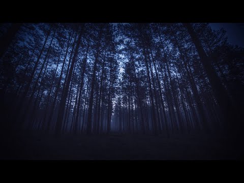 Dreaming In Darkness Music Video