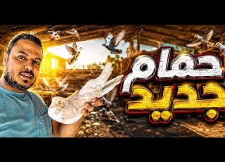 اشتريت حمام جديد وحمام جديد باض وليلة كبيرة