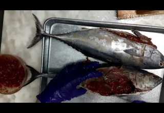 Soupe De Poisson Et Bounit Au Four حساء السمك و سمك البونيط في الفرن 