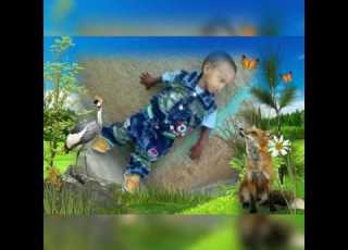  Nashiida Oromo Raniyaa Awaday