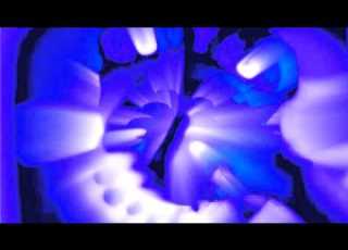  ZooPals In Organ Chord