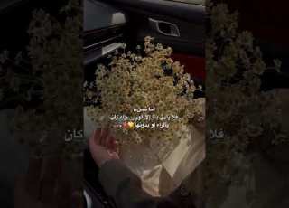 اما نحن ابلور حالات واتس لايك اشتراك بالقناه ليصلك كل جديد حب
