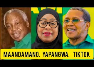 MAMA AIKATAA CCM KWA UCHUNGU HUKU VIJANA WAKIPANGA MAANDAMANO LIVE TIKTOK