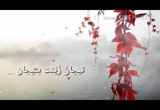 دورة حفظ الزهراوين