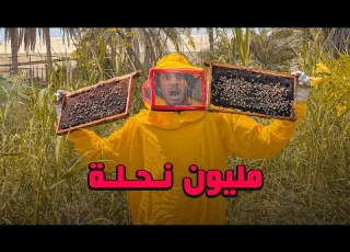 أنا نحال عمر يجرب