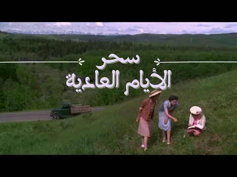 فيلم الدراما الرومنسي The Magic Of Ordinary Days 2005 فيلم الدراما الرومنسي The Magic Of Ordinary Days 2005