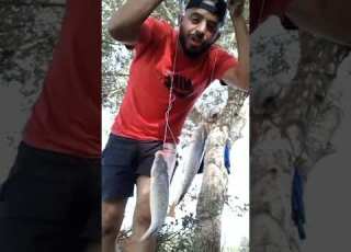  ديما الجديد قطع الله يدير الخير