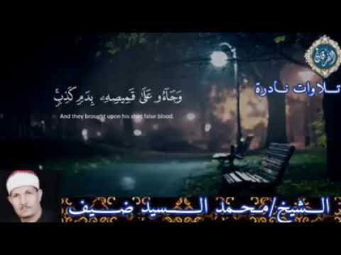 إبداع من سورة يوسف للشيخ محمد السيد ضيف