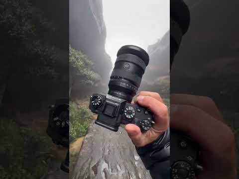 My New Favorite Lens Photography Camera Lens Behindthescenes Settings