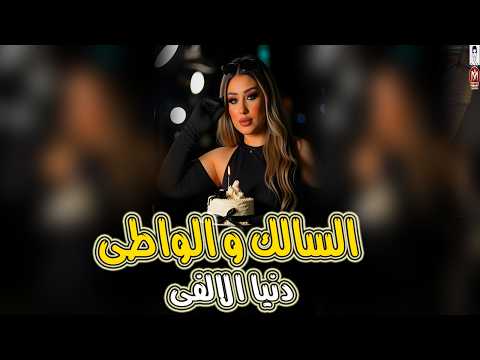 أجمل ماغنى دنيا الالفى موال السالك والواطى اسلك وصفى النية اقوى ميكس روقان موال الشارغ 2026