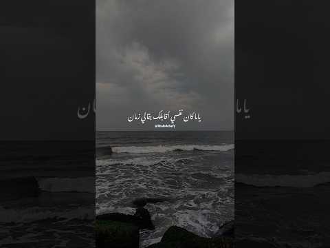 أنا جنبي أحلى الناس خالد الصيفي عمرو دياب وماله الهضبة رومانسي حب حالات واتس