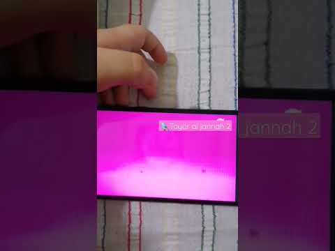 Toyor Al Jannah 2 Logo