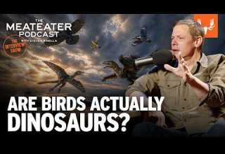 Are Birds Actually Dinosaurs The MeatEater Podcast Ep 871 