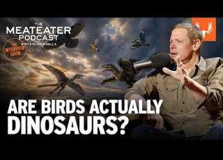 Are Birds Actually Dinosaurs The MeatEater Podcast Ep 871