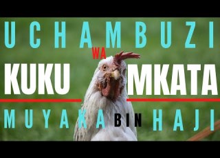 UCHAMBUZI Wa Shairi La Muyaka KUKU WA MKATA Hassan Morowa