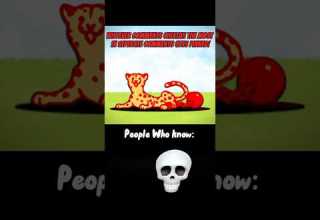 People Who Know Battle Cats Cheatah Cheetahcat Battlecat Thebattlecats Shorts