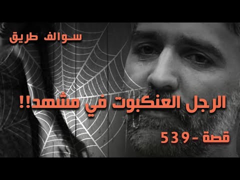 539 قصة الرجل العنكبوت في مشهد