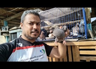 رايح اشتري منه حمام لقيته ادانى هدية ايمن ابو يونس