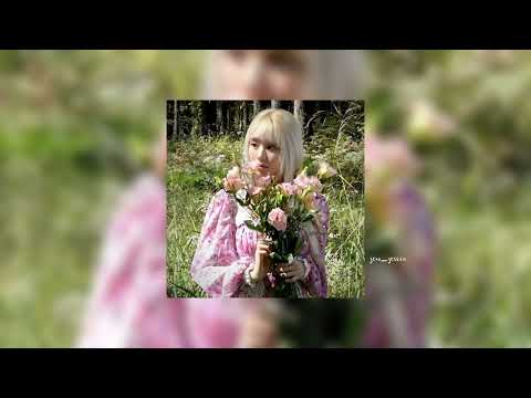 عمري كلو وائل الكفوري حامل بأيدي وردة مسرعة Speed Up عمري كلو وائل الكفوري حامل بأيدي وردة مسرعة Speed Up