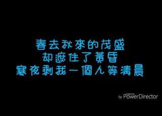 張碧晨 年輪 歌詞