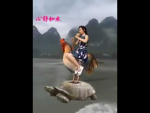 انا مسافر وماشي من بلدى سايب الاحباب