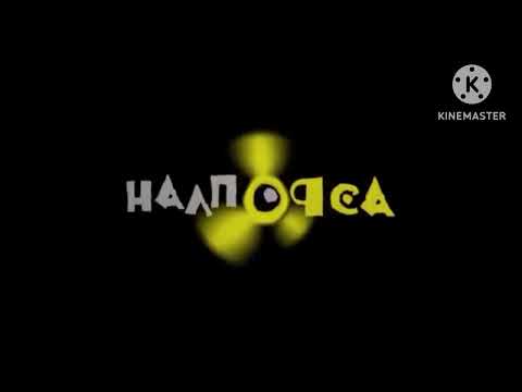 Студия Аэроплан In Diamond Major