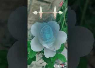 لا تنغشي يا فلانه
