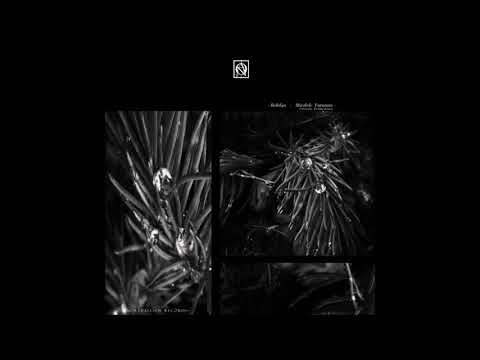 Bohdan Hausdorff Distance Astronomy Domine Remix NTS030