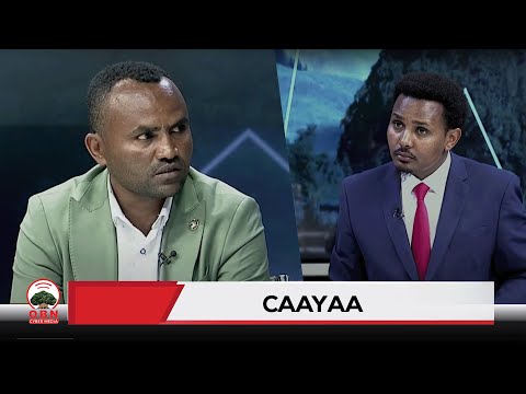 Caayaa OBN Guraandhala 17 2017