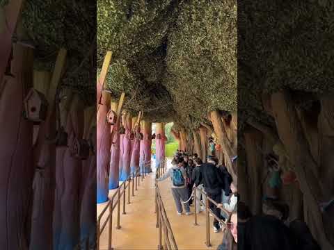 Opening Of The Magic Winx Attraction In Magic Land Opening Of The Magic Winx Attraction In Magic Land