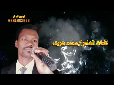 جديد الفنجرى اغانى الوداى المبا البرقو جديد الفنجرى اغانى الوداى المبا البرقو