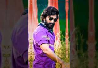 Pushpa New Love Status Beat Video 