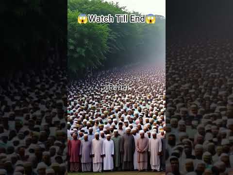 Most Of The Muslims Are Here Shorts