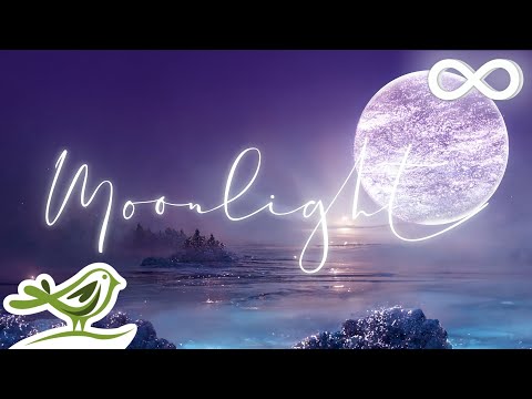 Moonlight موسيقى نوم مريحة لتخفيف التوتر وللتأمل Moonlight موسيقى نوم مريحة لتخفيف التوتر وللتأمل