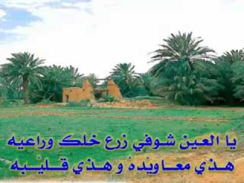 يا العين هلي صافي الدمع قصيدة نوره الحوشان