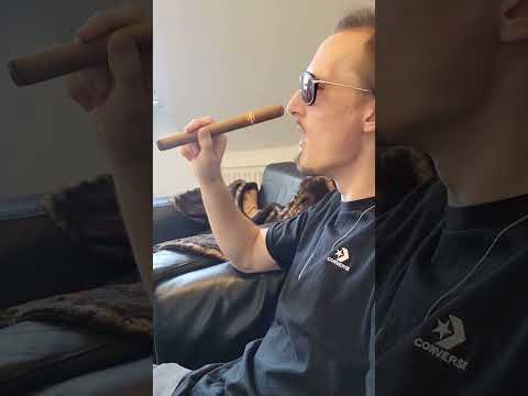 Only One Cigar Today Shorts Cigar Gigante Smoking Zigarre Cohiba Cuba