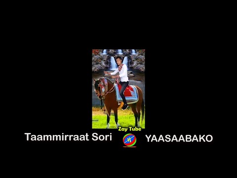 Taammirraat Sori Ethiopian New Music Affan Oromoo Yaasaabako